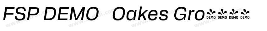 FSP DEMO   Oakes Gro字体转换